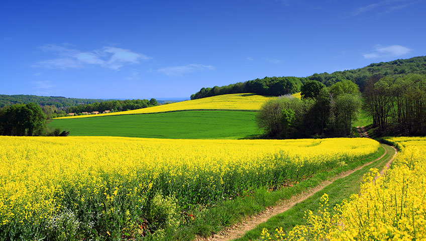 Today I stumbled upon Microsoft's 4K rendering of the Windows XP wallpaper